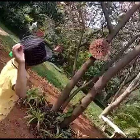 Lobville Homestay Karjat Luaran gambar