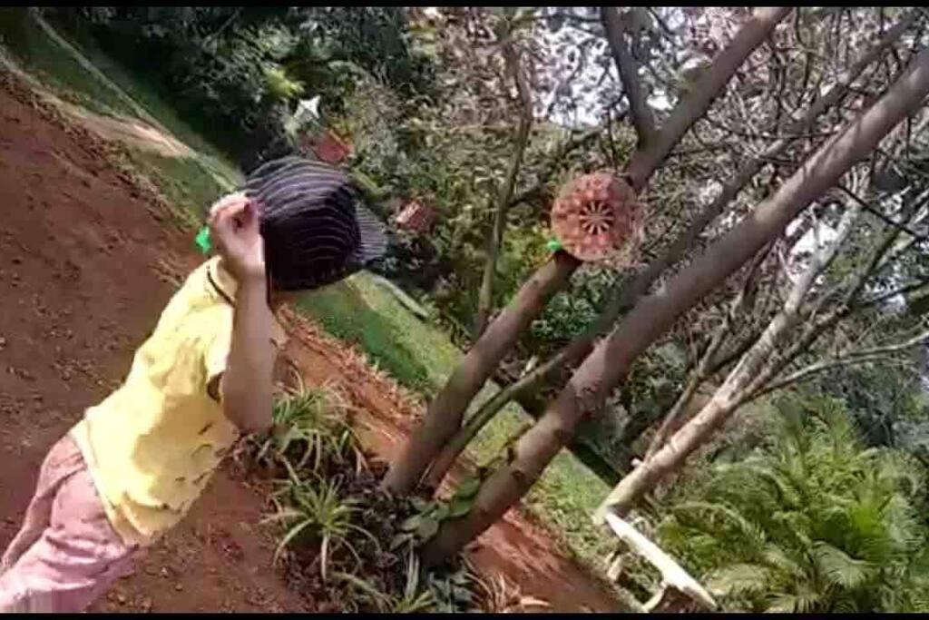Lobville Homestay Karjat Luaran gambar