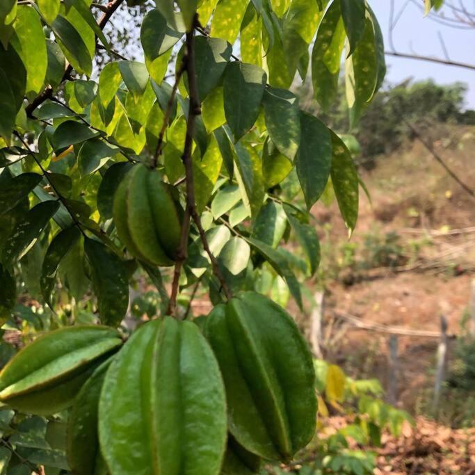 Lobville Homestay Karjat Luaran gambar